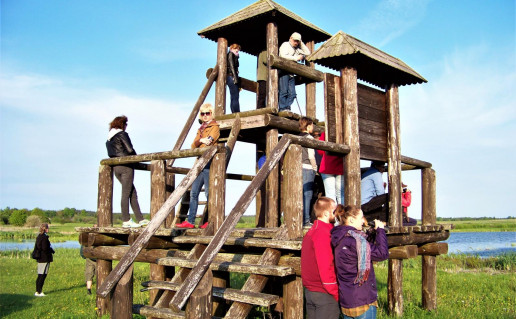 21. Žemaitiškių stebėjimo bokštelis S.Mudinienė.jpg